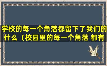 学校的每一个角落都留下了我们的什么（校园里的每一个角落 都有属于它的独特风景）